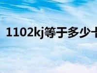 1102kj等于多少卡（1102kj等于多少大卡）