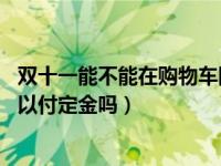 双十一能不能在购物车同时付定金（双十一没有加购物车 可以付定金吗）