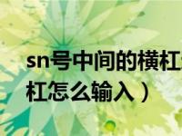 sn号中间的横杠还要输入进去吗（sn码有斜杠怎么输入）