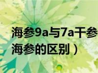 海参9a与7a干参一样大有什么区别（7a和9a海参的区别）