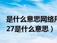 是什么意思网络用语（变压器上标有101×1027是什么意思）