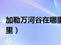 加勒万河谷在哪里建飞机场（加勒万河谷在哪里）