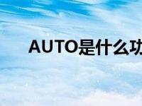 AUTO是什么功能（auto是什么接口）