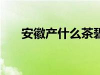 安徽产什么茶碧螺春（安徽产什么茶）